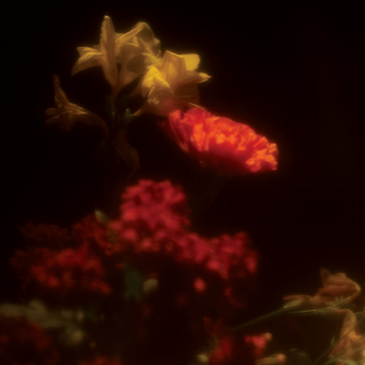 高清windows免费版观看美女强奸
