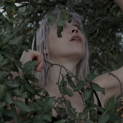 高清windows免费版观看美女强奸
