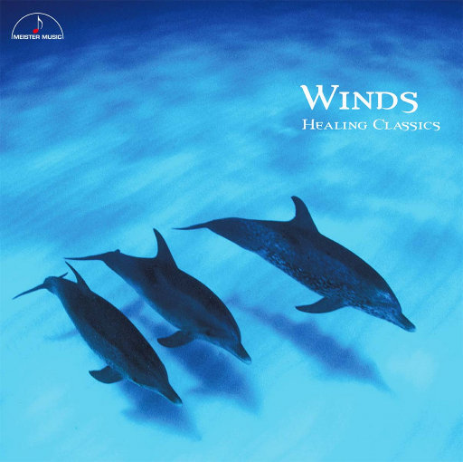 高清windows免费版观看美女强奸
